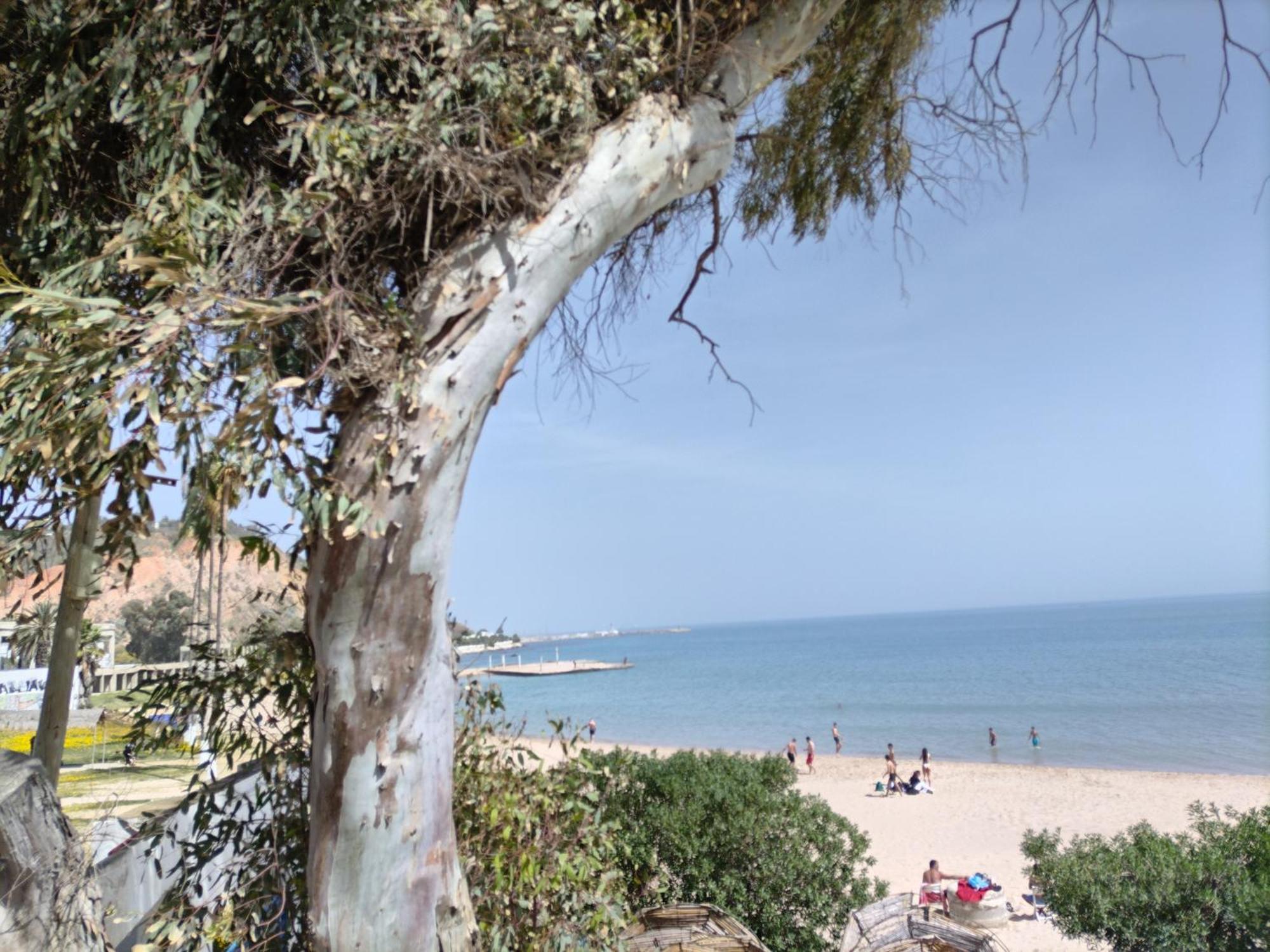 Marsa - Sidi Bousaid Lovely Authentic Apartment Ла-Марса Экстерьер фото